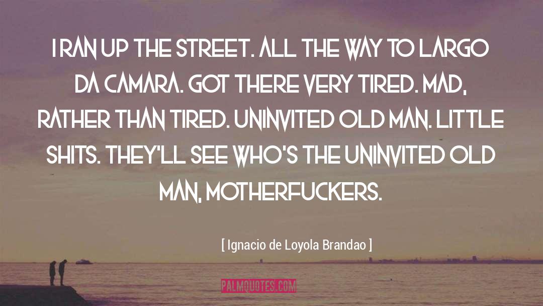 Ignacio De Loyola Brandao Quotes: I ran up the street.