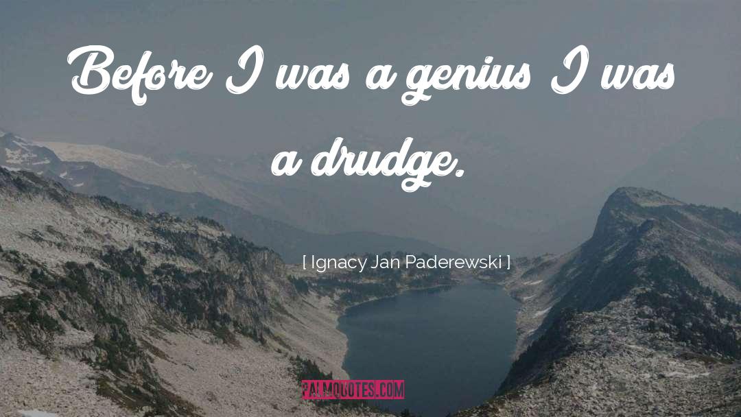 Ignacy Jan Paderewski Quotes: Before I was a genius