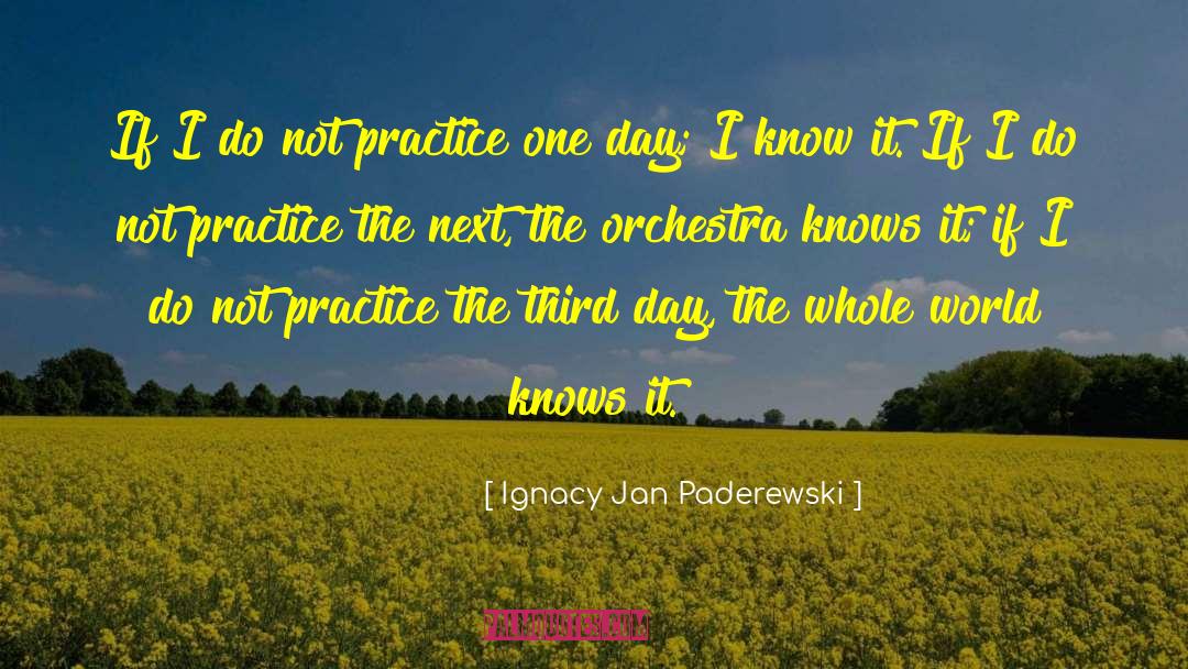 Ignacy Jan Paderewski Quotes: If I do not practice