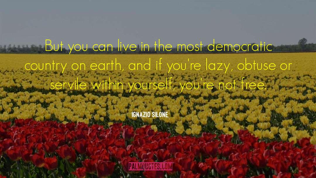 Ignazio Silone Quotes: But you can live in