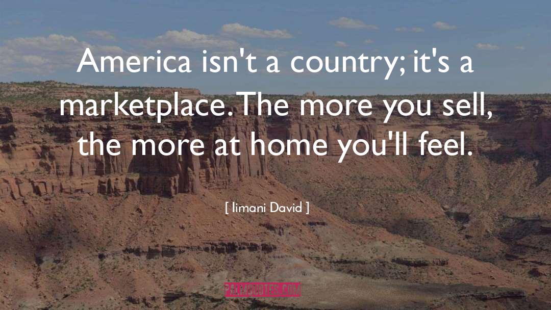 Iimani David Quotes: America isn't a country; it's