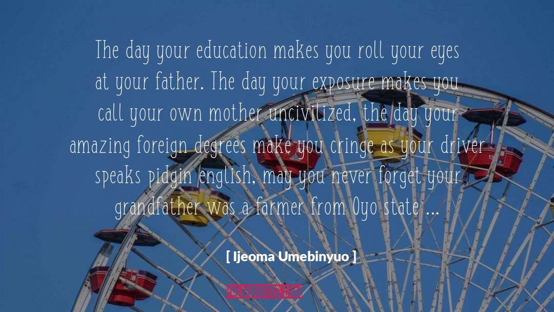 Ijeoma Umebinyuo Quotes: The day your education makes