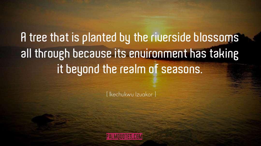 Ikechukwu Izuakor Quotes: A tree that is planted