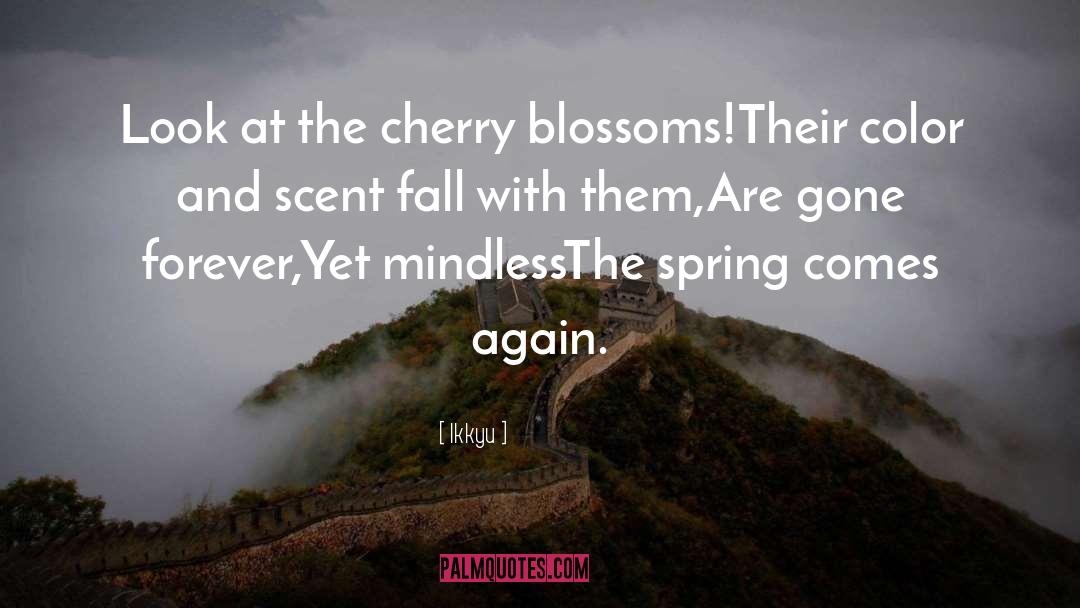 Ikkyu Quotes: Look at the cherry blossoms!<br>Their