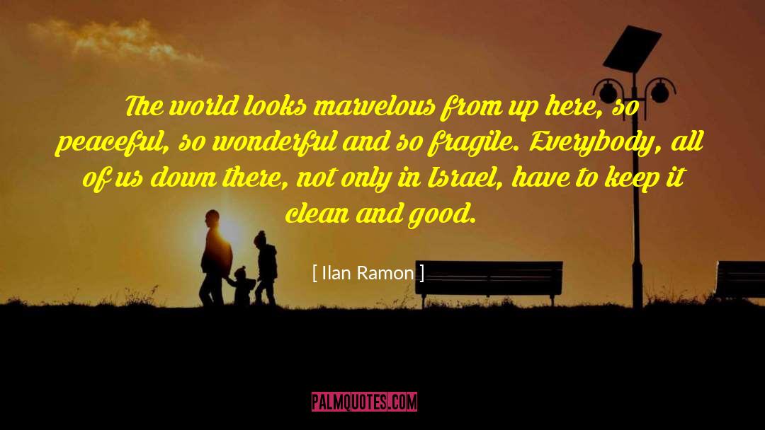 Ilan Ramon Quotes: The world looks marvelous from