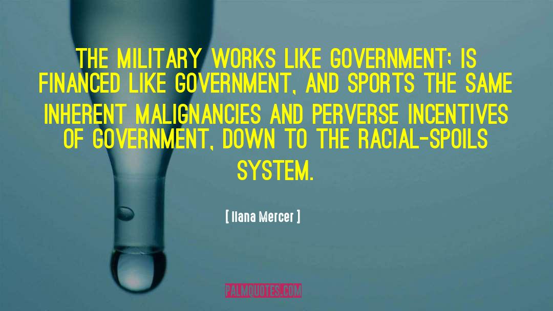 Ilana Mercer Quotes: The military works like government;