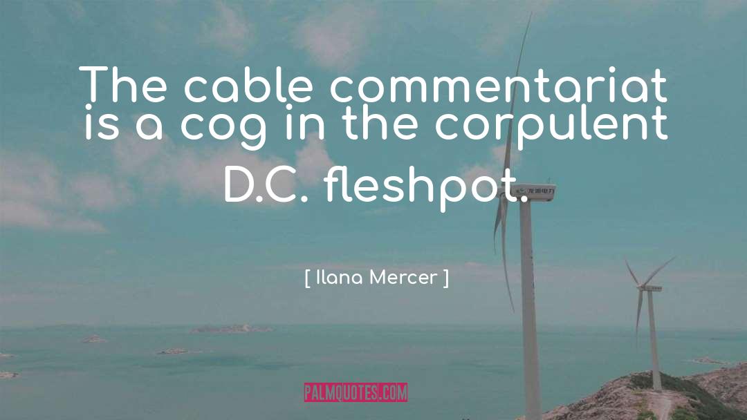 Ilana Mercer Quotes: The cable commentariat is a