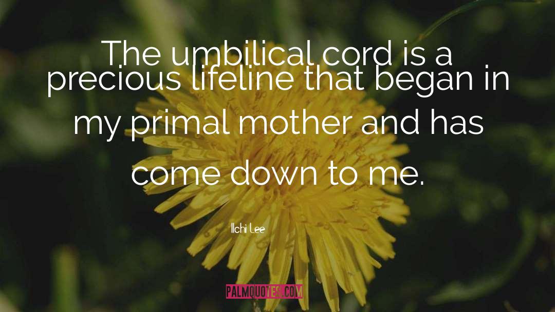 Ilchi Lee Quotes: The umbilical cord is a