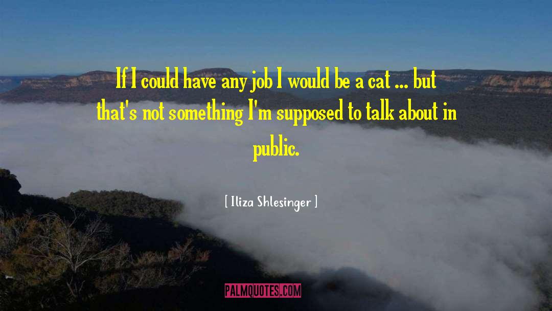 Iliza Shlesinger Quotes: If I could have any