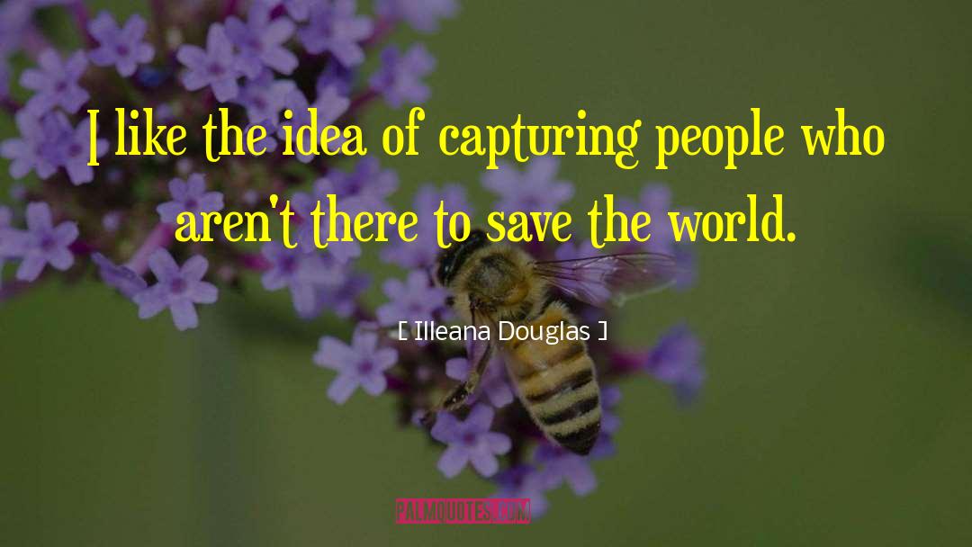 Illeana Douglas Quotes: I like the idea of