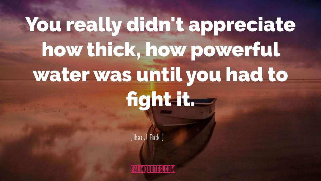 Ilsa J. Bick Quotes: You really didn't appreciate how