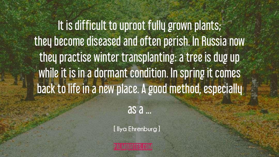 Ilya Ehrenburg Quotes: It is difficult to uproot