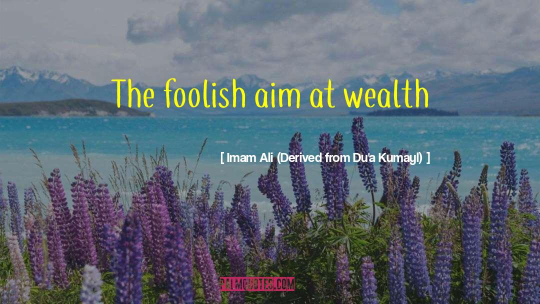 Imam Ali (Derived From Du'a Kumayl) Quotes: The foolish aim at wealth