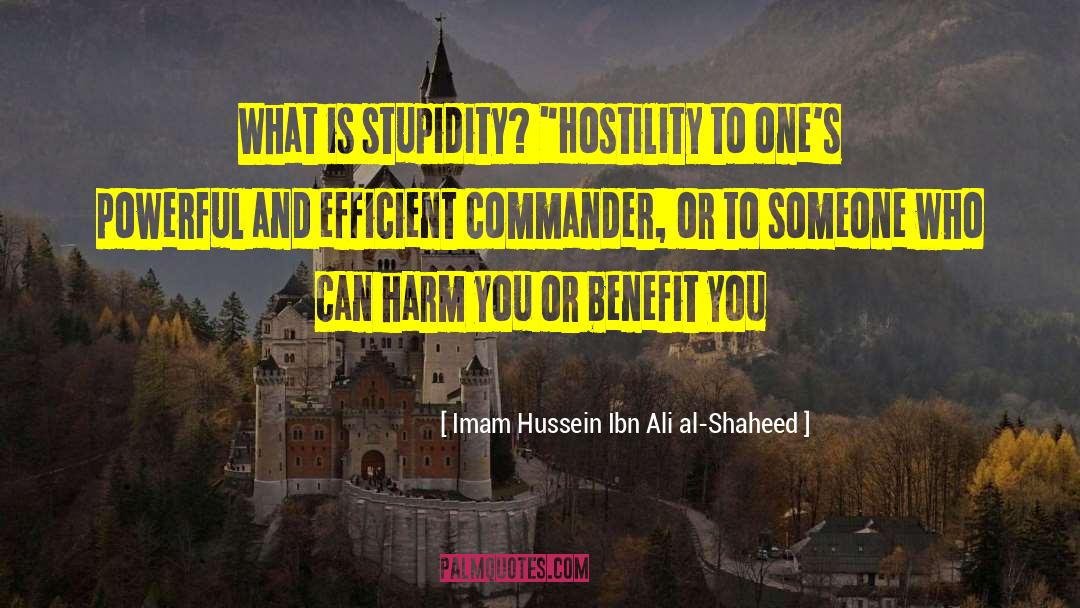 Imam Hussein Ibn Ali Al-Shaheed Quotes: What is stupidity? 