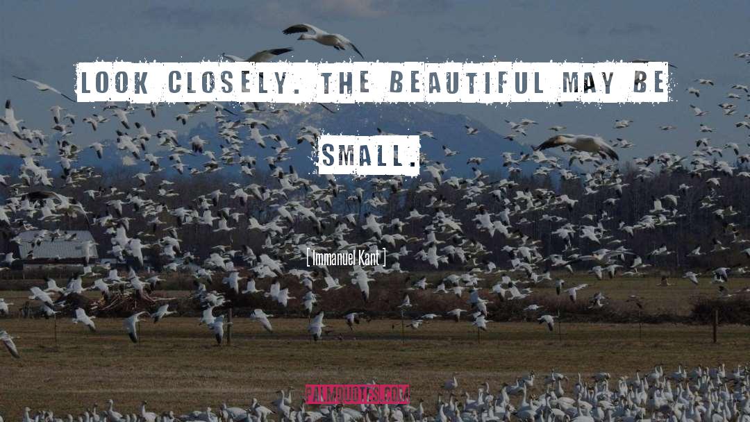 Immanuel Kant Quotes: Look closely. The beautiful may