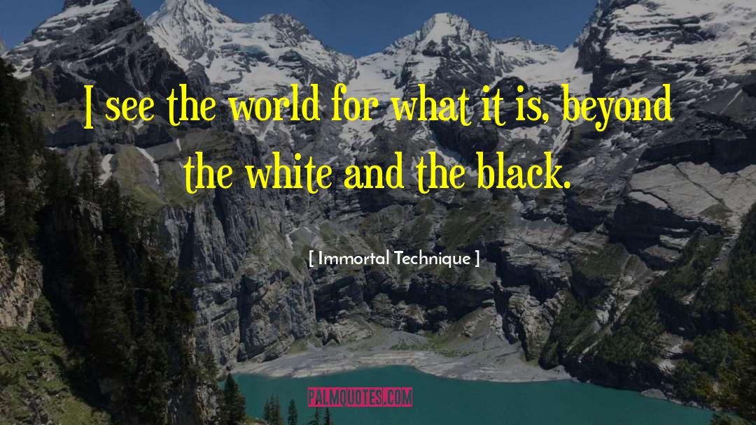Immortal Technique Quotes: I see the world for
