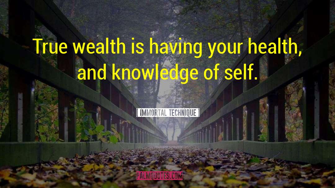 Immortal Technique Quotes: True wealth is having your