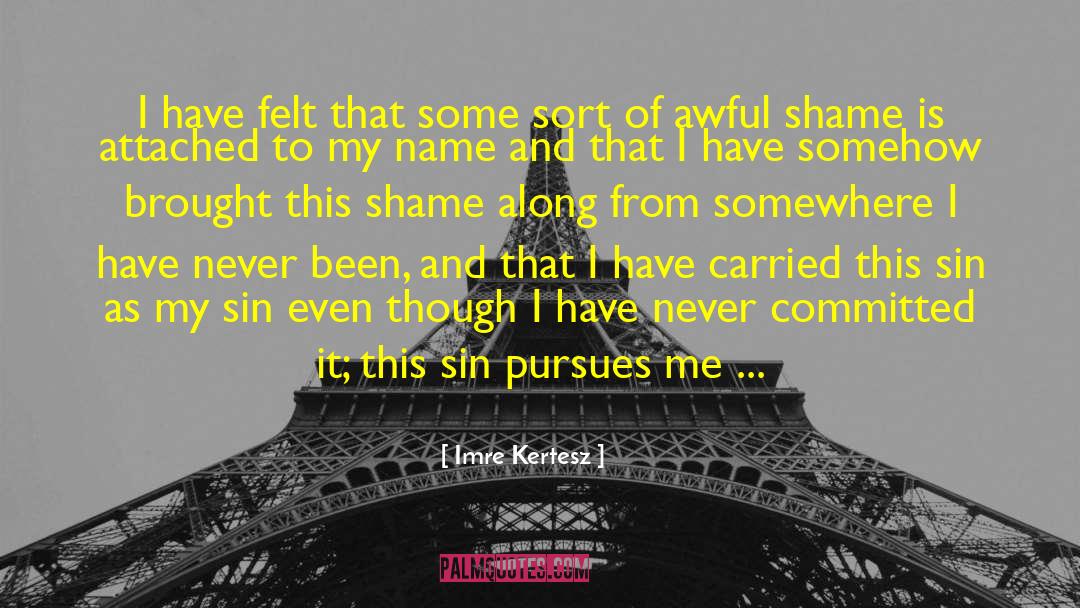 Imre Kertesz Quotes: I have felt that some