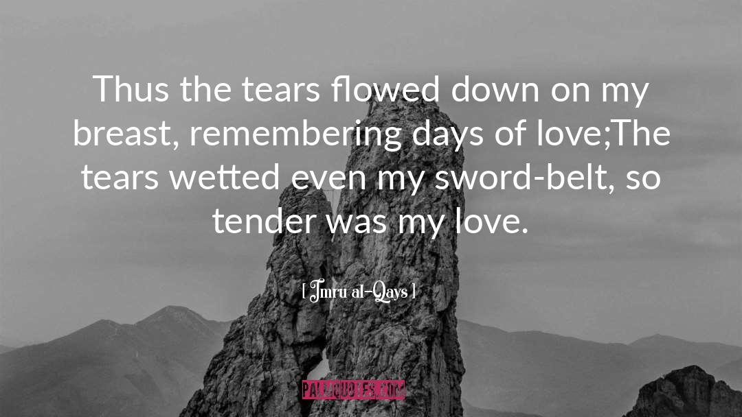 Imru Al-Qays Quotes: Thus the tears flowed down