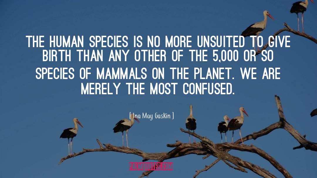 Ina May Gaskin Quotes: The human species is no