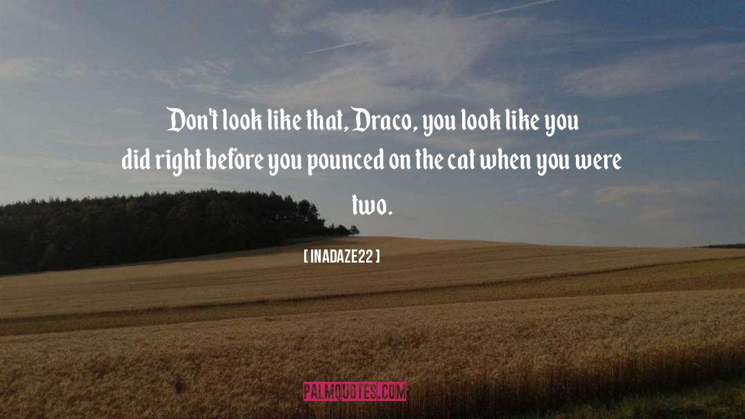 Inadaze22 Quotes: Don't look like that, Draco,