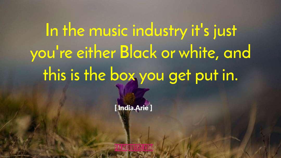 India.Arie Quotes: In the music industry it's