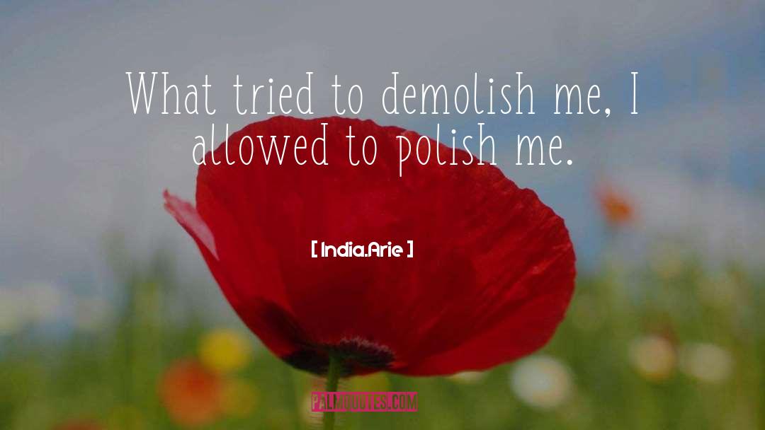 India.Arie Quotes: What tried to demolish me,