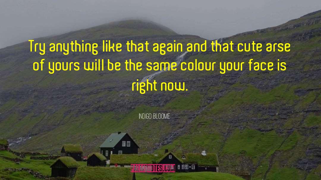 Indigo Bloome Quotes: Try anything like that again