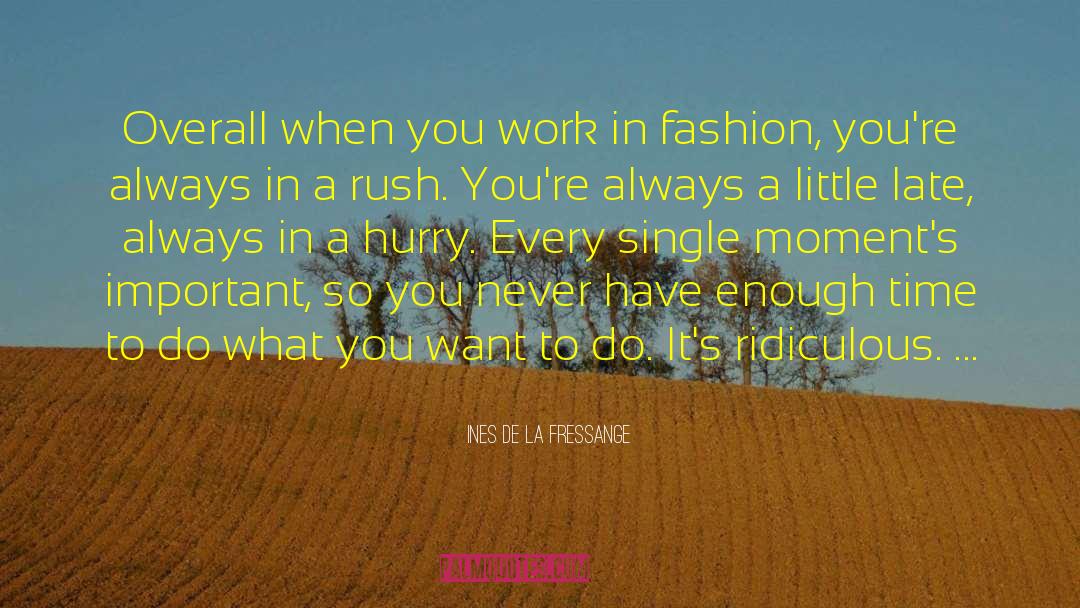 Ines De La Fressange Quotes: Overall when you work in