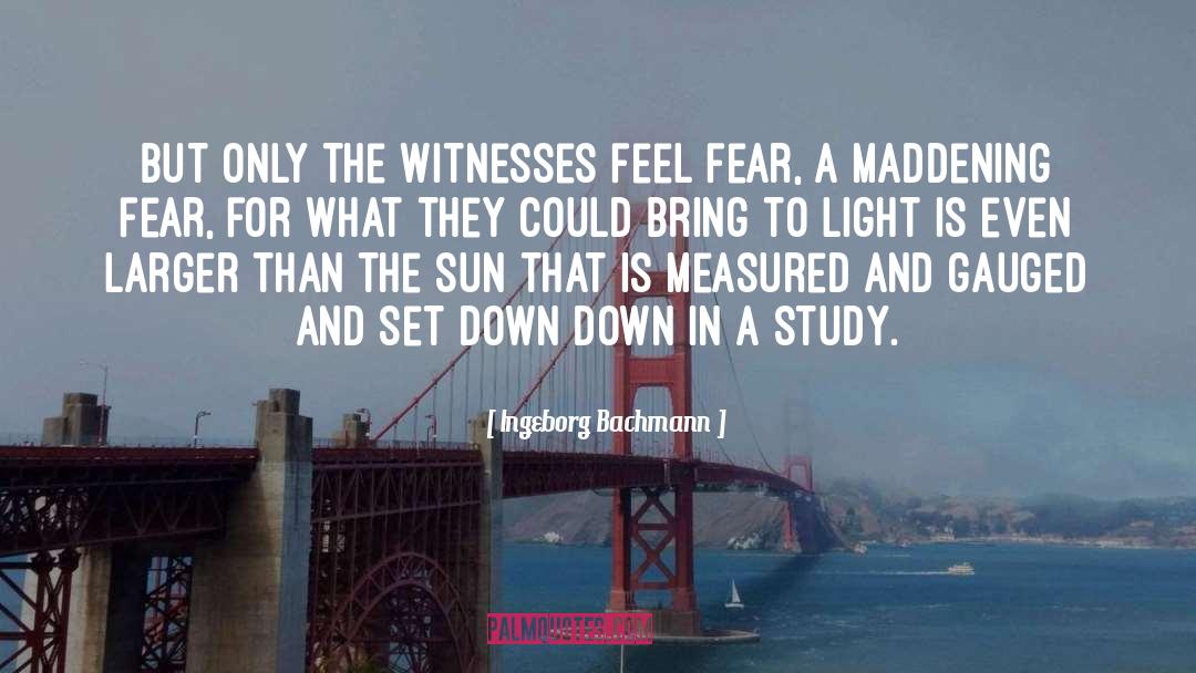 Ingeborg Bachmann Quotes: But only the witnesses feel