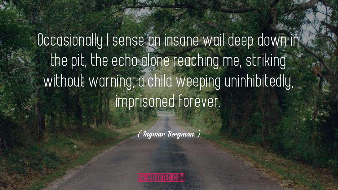 Ingmar Bergman Quotes: Occasionally I sense an insane