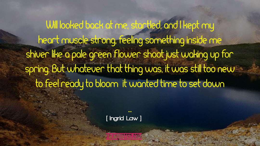 Ingrid Law Quotes: Will looked back at me,