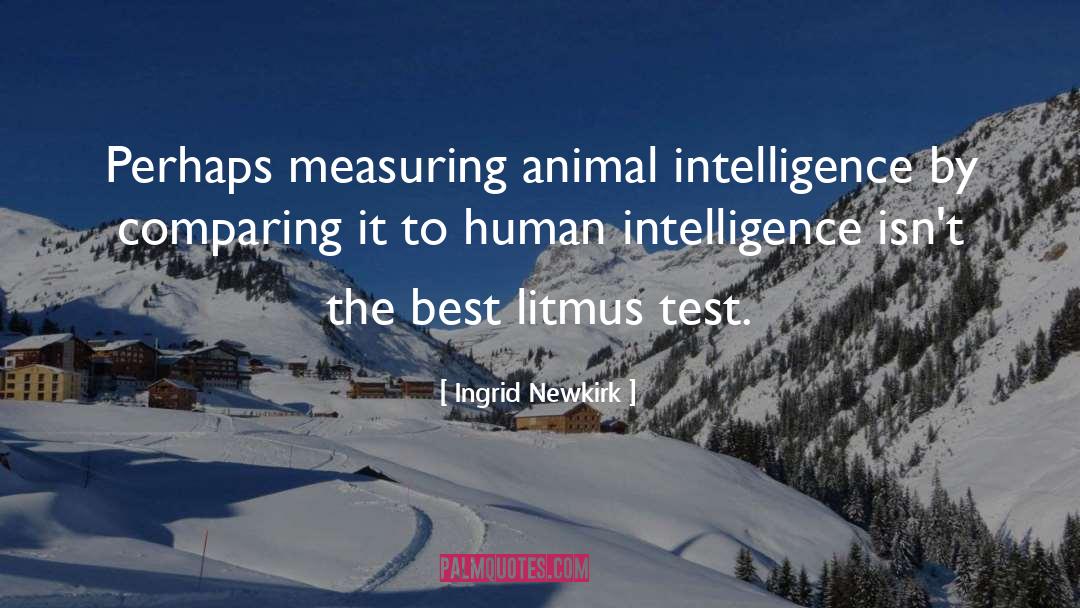 Ingrid Newkirk Quotes: Perhaps measuring animal intelligence by