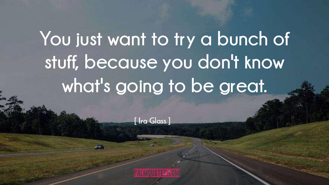 Ira Glass Quotes: You just want to try