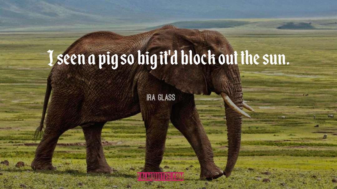 Ira Glass Quotes: I seen a pig so