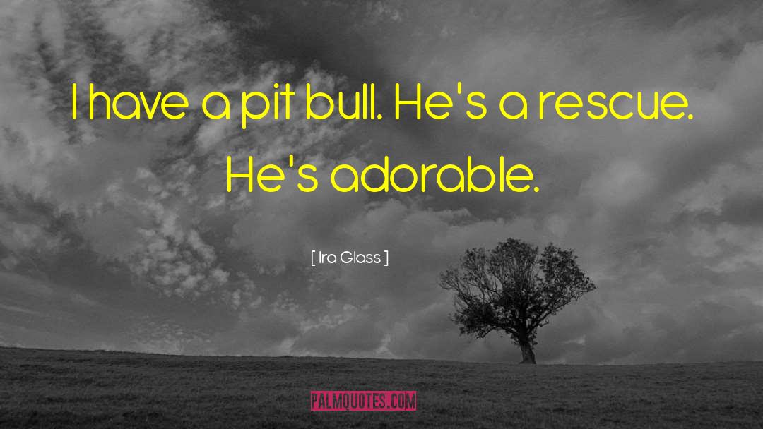 Ira Glass Quotes: I have a pit bull.