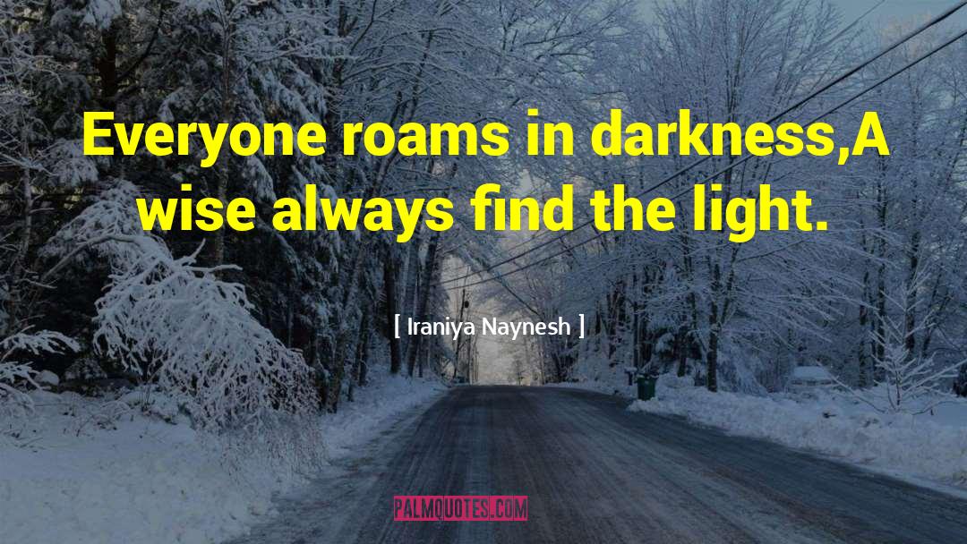 Iraniya Naynesh Quotes: Everyone roams in darkness,<br />A