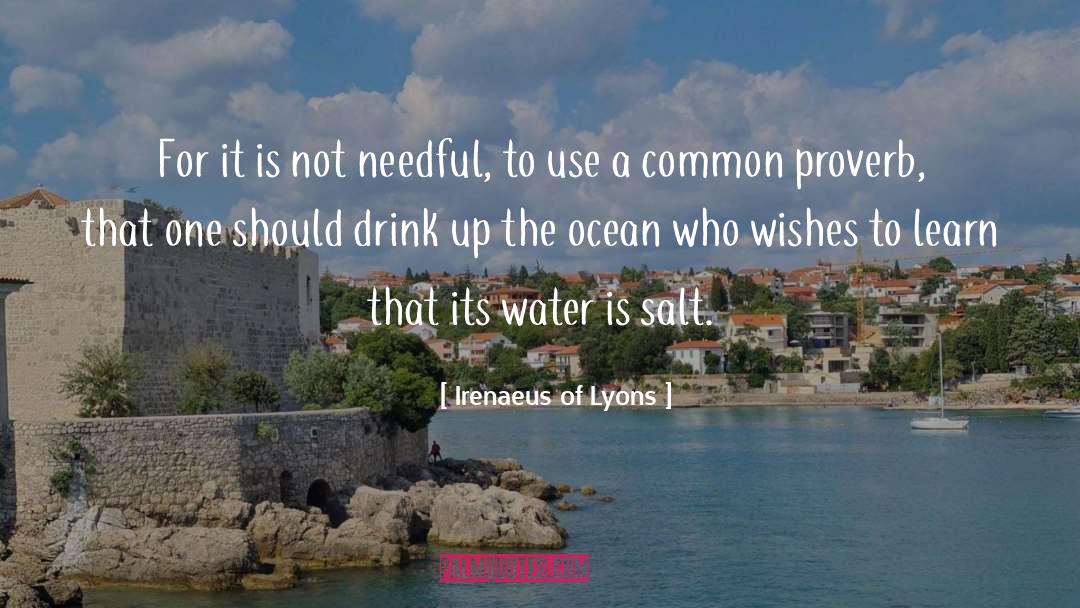 Irenaeus Of Lyons Quotes: For it is not needful,