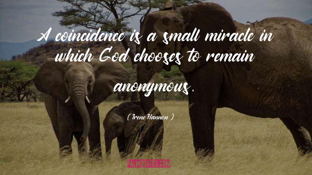 Irene Hannon Quotes: A coincidence is a small