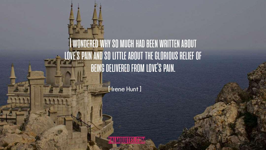 Irene Hunt Quotes: I wondered why so much