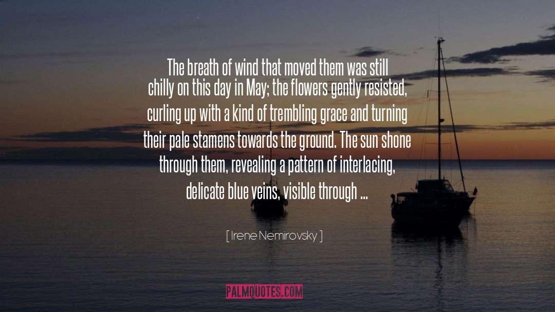 Irene Nemirovsky Quotes: The breath of wind that