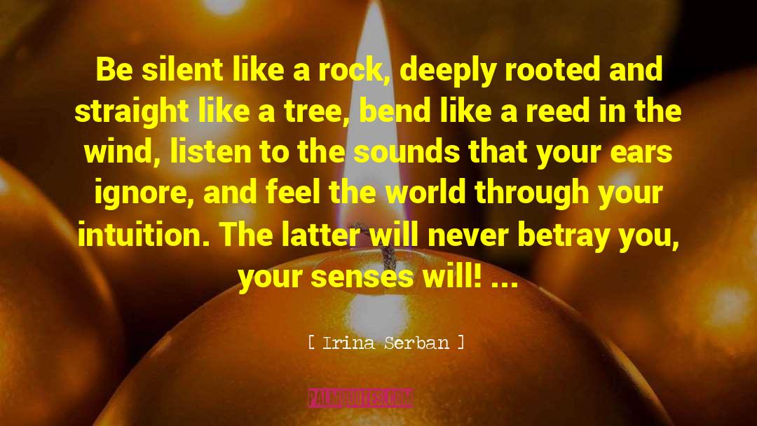 Irina Serban Quotes: Be silent like a rock,