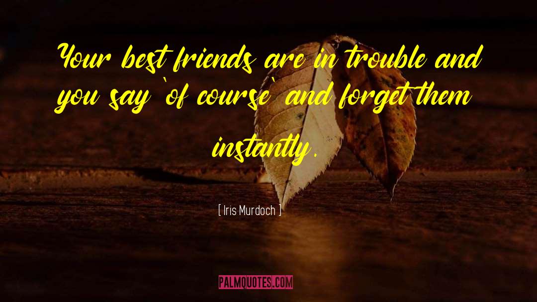 Iris Murdoch Quotes: Your best friends are in