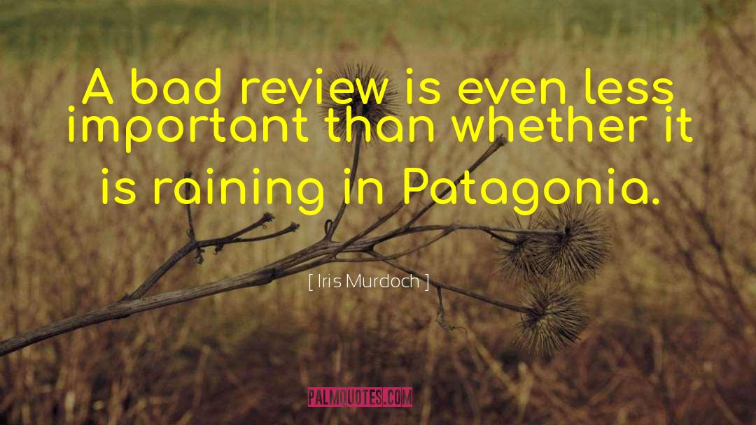 Iris Murdoch Quotes: A bad review is even