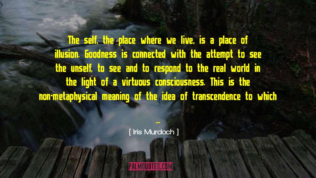 Iris Murdoch Quotes: The self, the place where