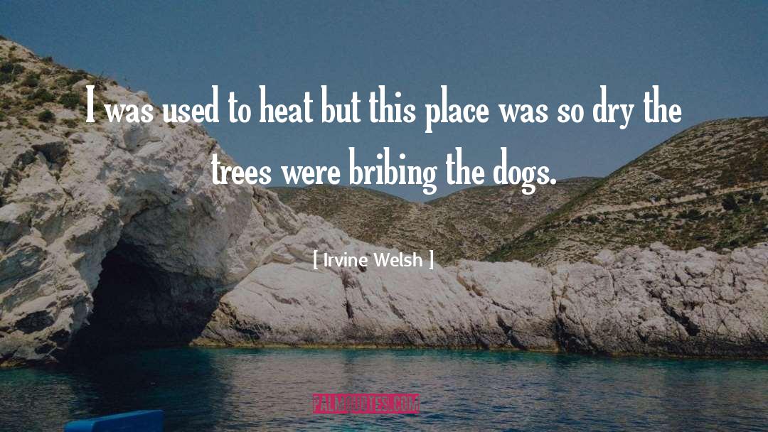 Irvine Welsh Quotes: I was used to heat