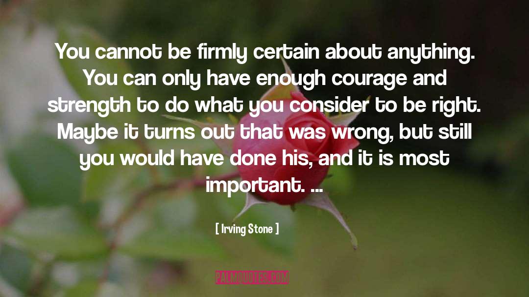 Irving Stone Quotes: You cannot be firmly certain