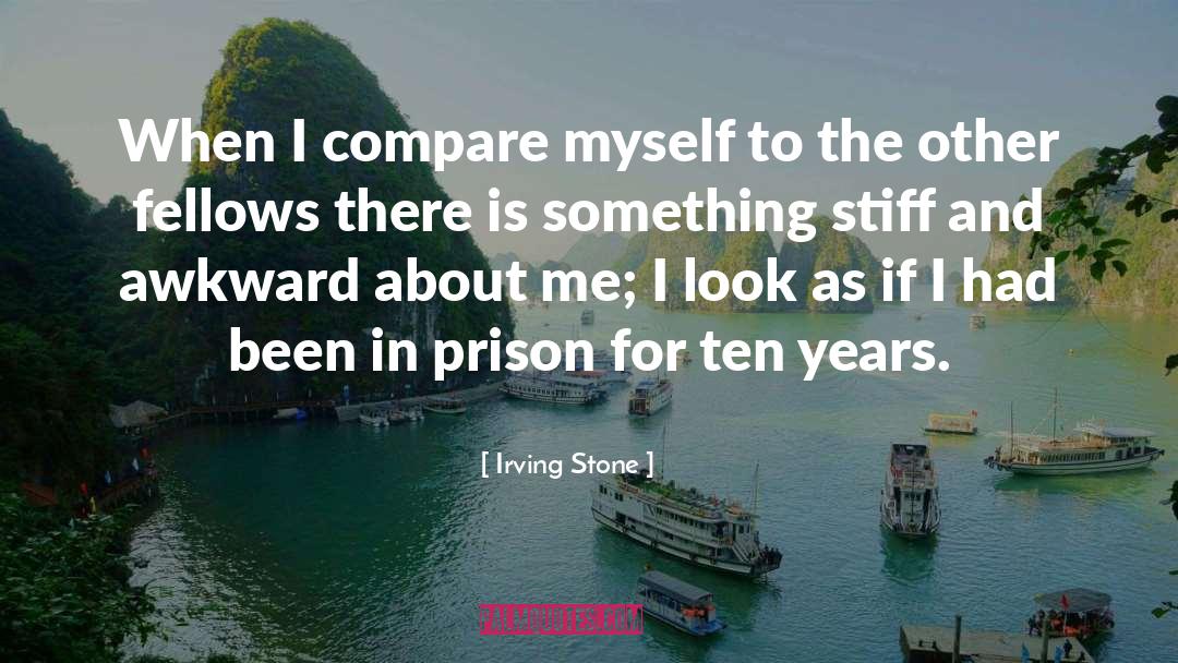 Irving Stone Quotes: When I compare myself to