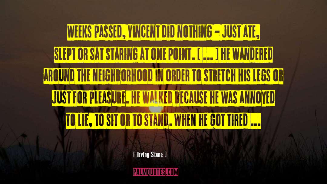 Irving Stone Quotes: Weeks passed, Vincent did nothing