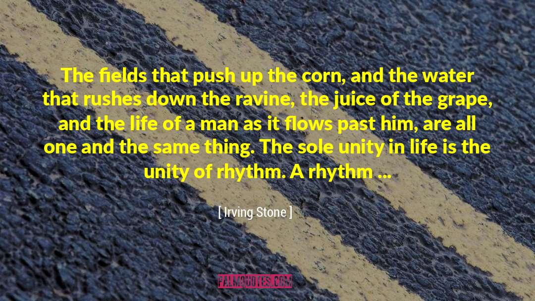 Irving Stone Quotes: The fields that push up